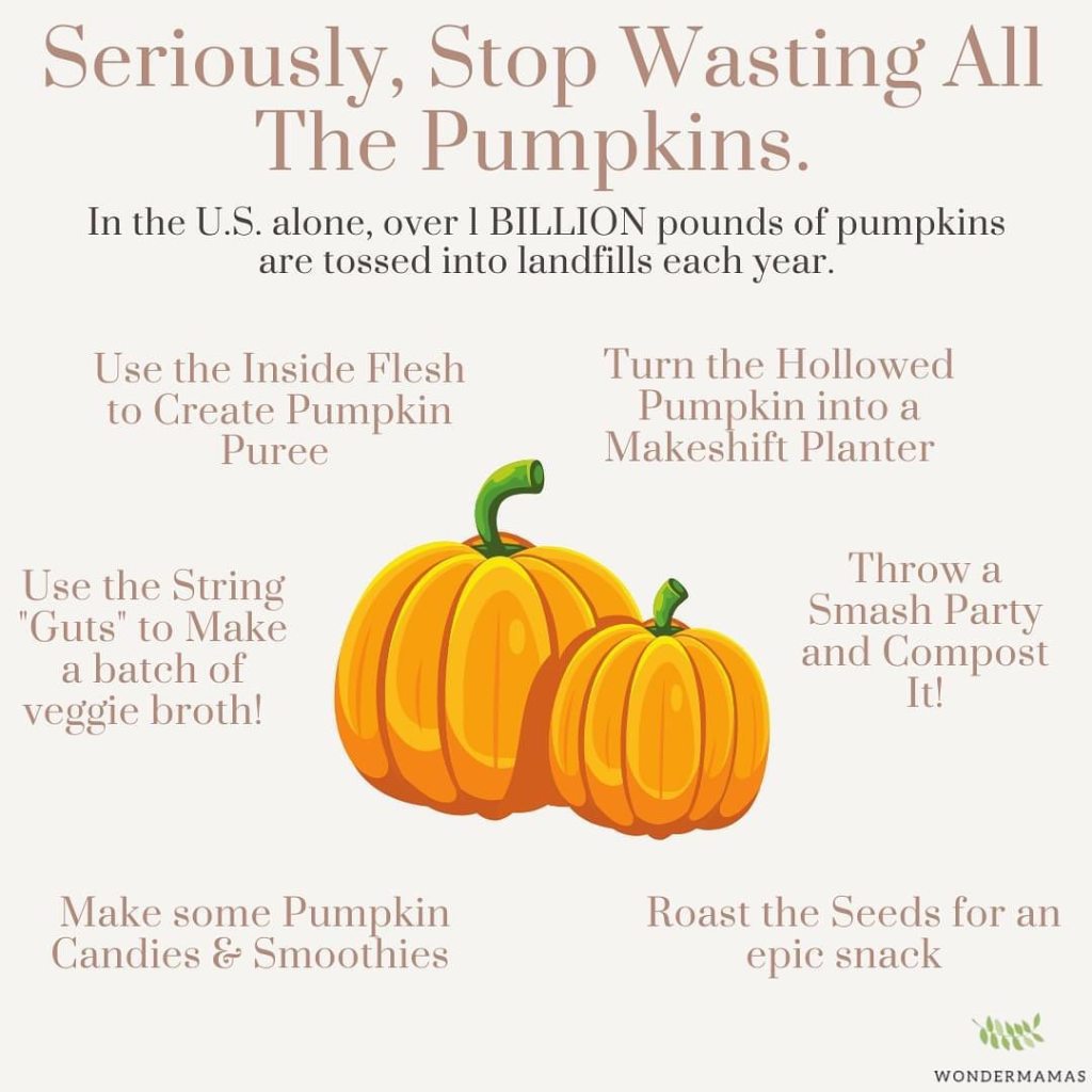 Sustainable Halloween Ideas • Pumpkin Uses ideas 1 | ecogreenlove