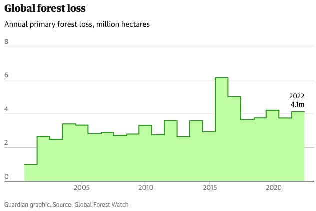 The climate crisis explained in 10 charts • Global forest loss | ecogreenlove