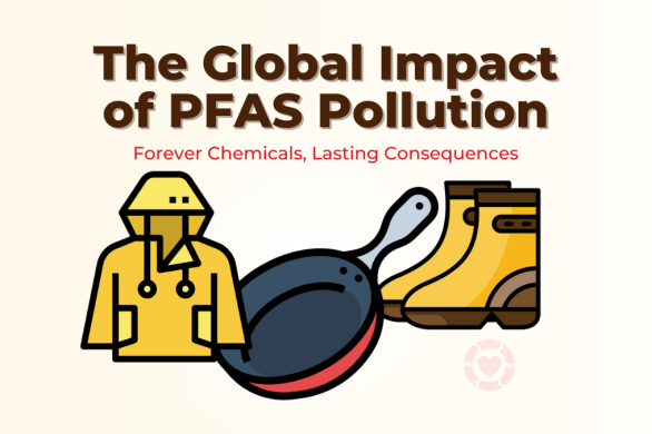 The Global Impact of PFAS Pollution [Visual] | ecogreenlove