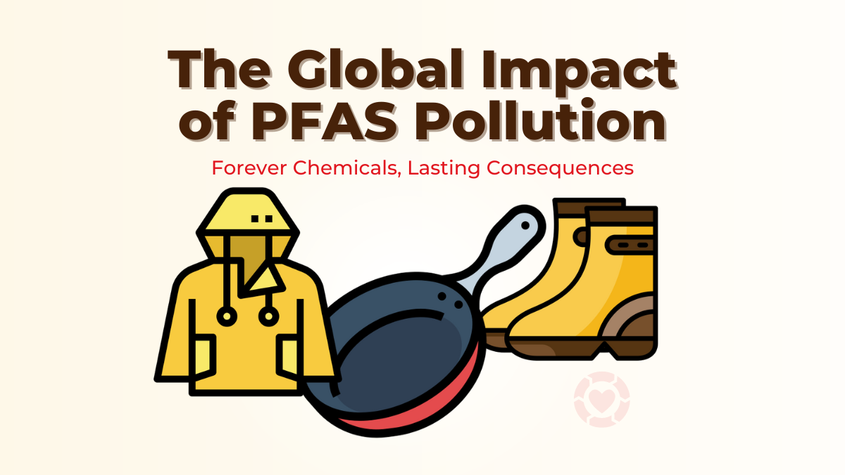 The Global Impact of PFAS Pollution [Visual] | ecogreenlove