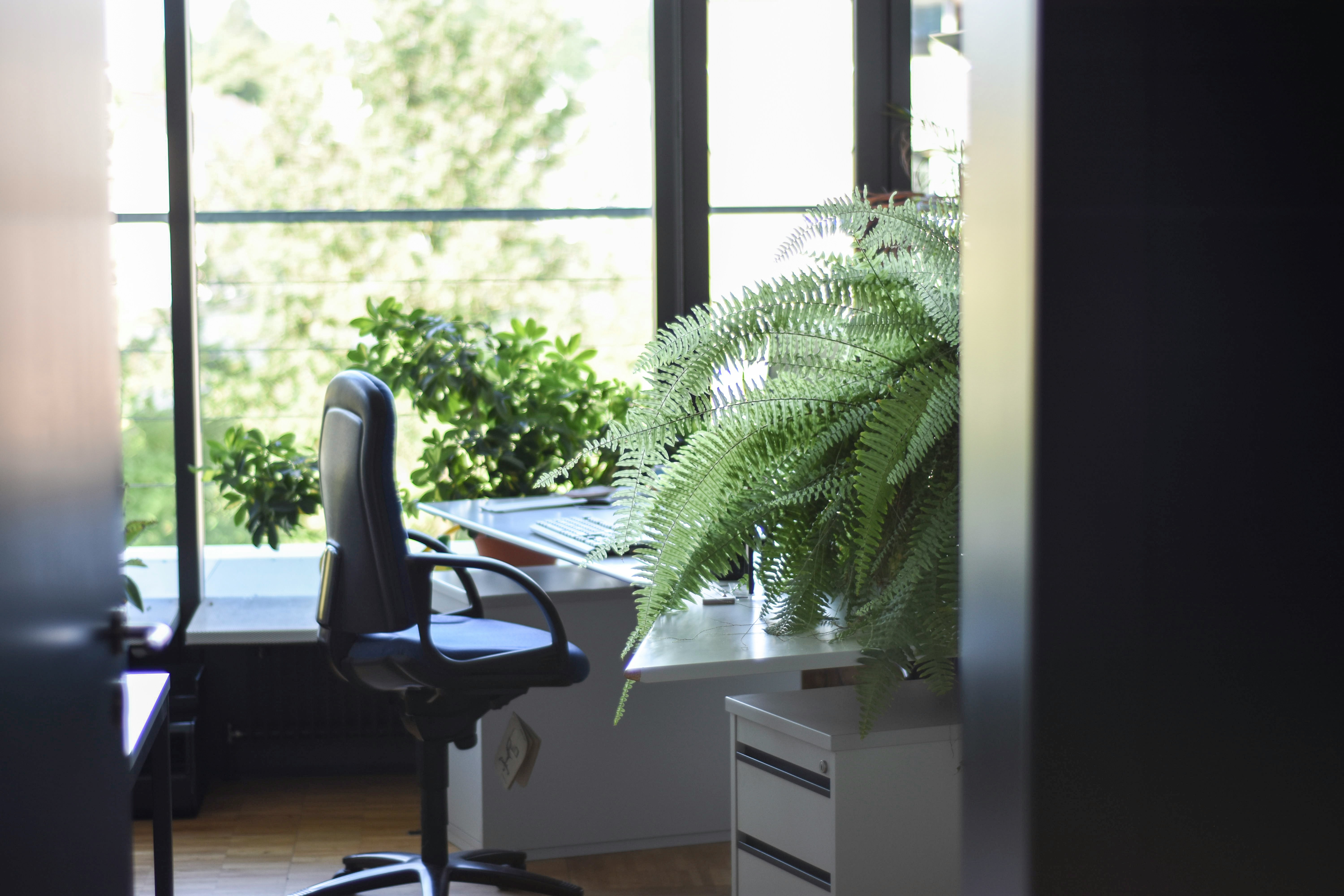 5 Eco-Friendly Actions to Take Today for a Greener Business • Encourage Remote Work | ecogreenlove