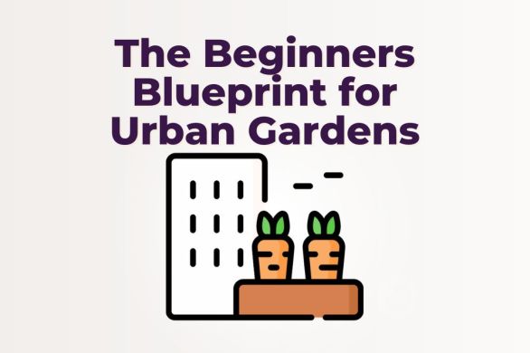 The Beginners Blueprint for Urban Gardens | ecogreenlove