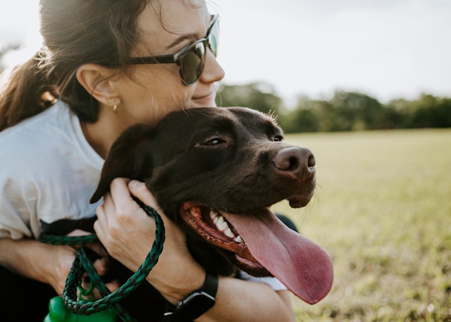 Step-by-Step Guide to Adopting Your Perfect Dog | ecogreenlove Step-by-Step Guide to Adopting Your Perfect Dog | ecogreenlove
Photo by Wade Austin Ellis on Unsplash